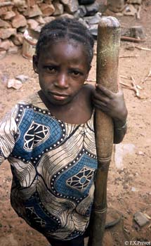 E-cartes : François-Xavier P. - 4